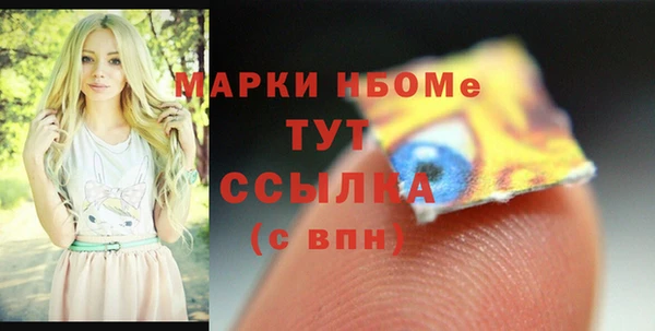 ешки Алексин