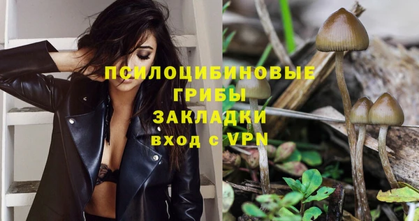 амф Алексеевка
