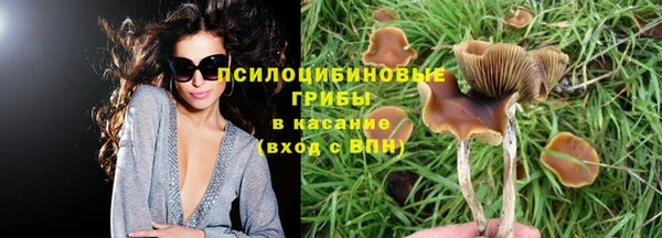 ешки Алексин