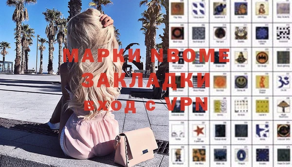 ешки Алексин