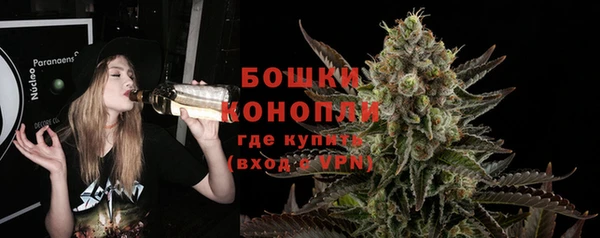 ешки Алексин